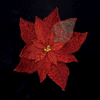 3-D embroidered poinsettia
