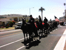 Honor Guard Horsemen